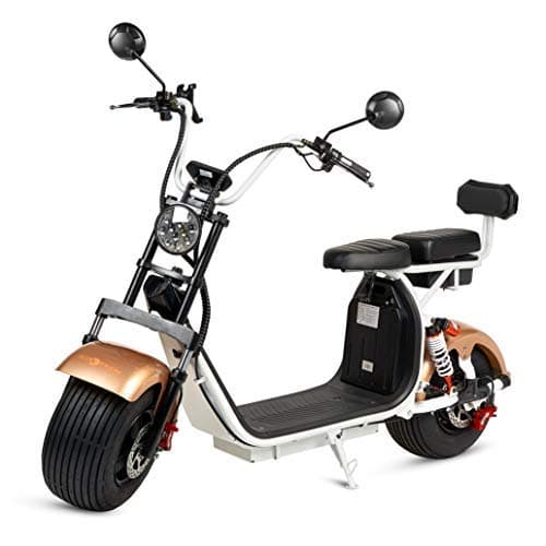 ECOXTREM Large Motorcycles City Coco 2 baterías Bronze/Brown
