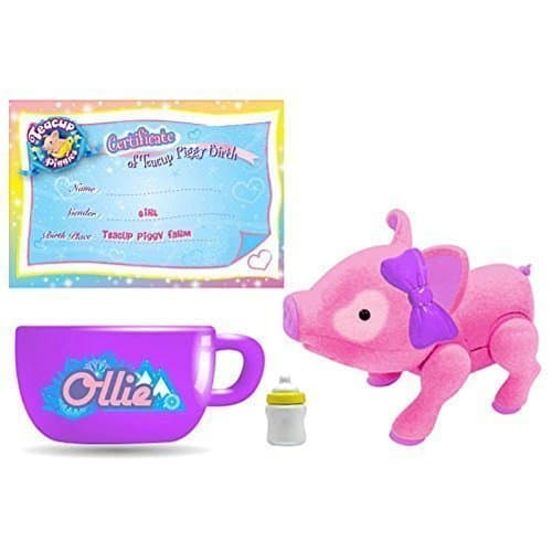 Teacup Piggies Basic Set Ollie Includes Piggie Teacup Feeding Bottle Birth Certificate