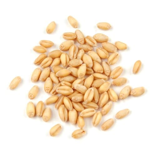 Soft White Wheat Berries, 25 Pound Box
