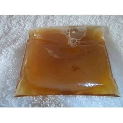 Organic Kombucha Scoby Live Culture Extra Large Scoby with 8 Ounces Starter Tea