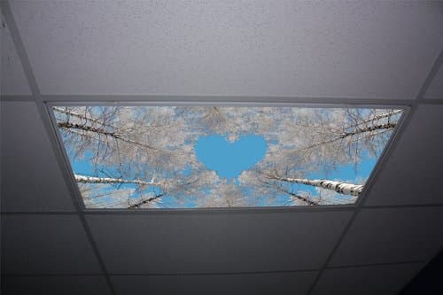 Forest Love Skypanels - Replacement Fluorescent Light Diffuser