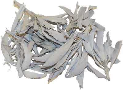 CLUSTERS CALIFORNIA WHITE SAGE LOOSE 1oz. BAG