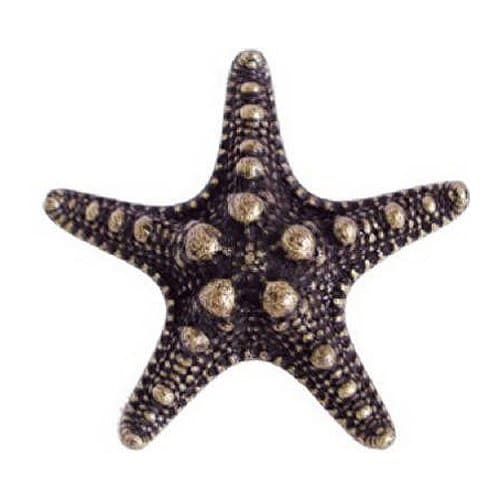 EE-OR421-ABR Sea Star Cabinet Knob