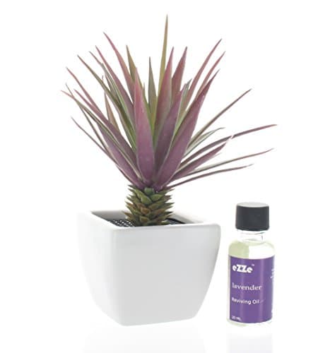 Cactus Collection Artificial plat Pot Style Scented Charcoal Diffuser with Reviving Diffuser Oil Air Refresher Aromatic & Deodorizing (Lavender)