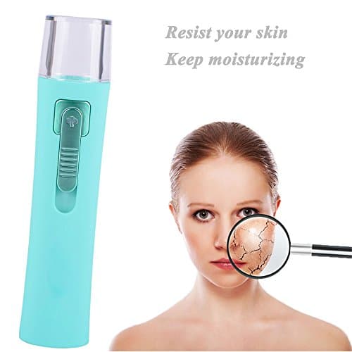 Portable Handheld Nano Facial Steamer with USB Power Bank Function (Sky Blue) by Winkion