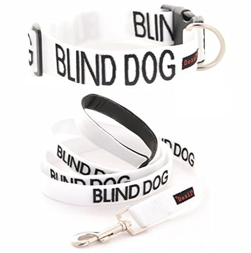 BLIND DOG White Color Coded Alert Warning L-XL S-M Buckle Dog Collar and 2 4 6 Foot Padded Leash Sets (No/Limited Sight) PREVENTS Accidents By Warning Others of Your Dog in Advance (L-XL Collar + 6 Foot Leash)
