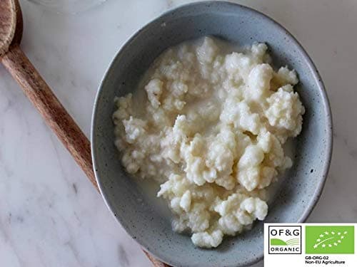 Large portion Kombuchaorganic Certified Organic by OF&G Milk Kefir Grains Tibetan Mushroom 10g