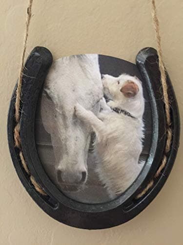 Hanging Good Luck Horseshoe Picture Frame + FREE Pendant