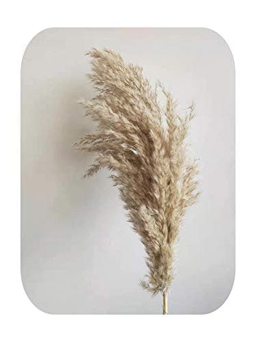 LAVOGUE 10Pcs Pampas Grass Bunch Large Dried Christmas Decorations for Home Wedding Flower Bunch Pampas Grass Natural…