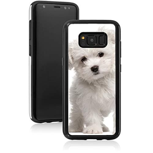 Shockproof Impact Hard Soft Case Cover for Samsung Galaxy White Maltese Puppy Dog (Black, for Samsung Galaxy S10+ (Plus))