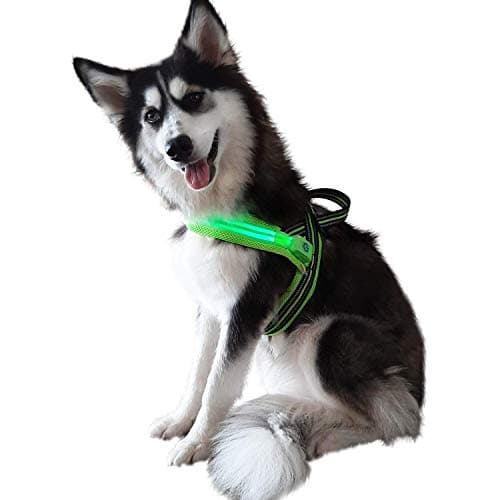 Pet Lovers Stuff Over The Head Dog Harness Large Breed - No Pull, Adjustable, Highly Reflective, Led - Great for Walking, Running, Hiking (X-Large, Green)