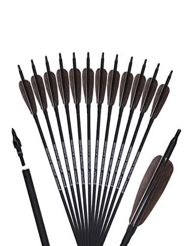 PANDARUS Archery 31-Inch Carbon Hunting Arrows, Turkey Feather Fletching with Replaceable Points, Targeting Practice Arrows Spine 500 for Recurve Bow, Longbow, Traditional Bow
