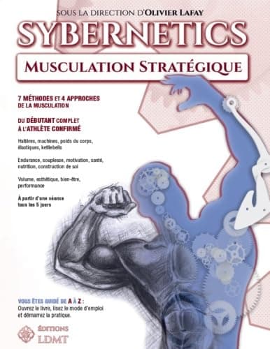 Sybernetics: Musculation stratégique Paperback – Big Book, 1 Feb. 2019