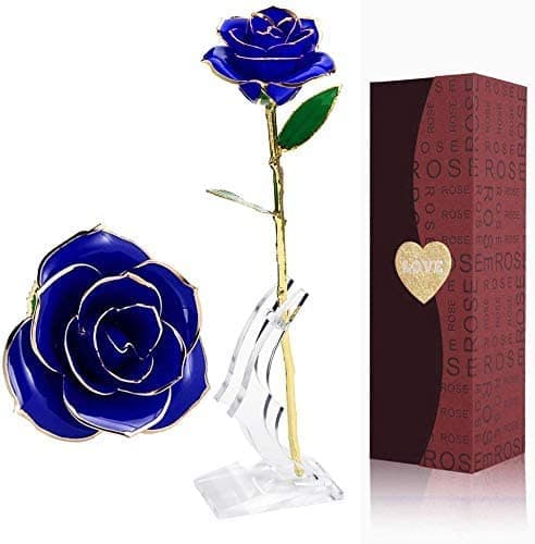 Suturun Gold Dipped Rose,24K Gold Rose with Transparent Stand,Real Long Stem Eternity Rose Flower Best for Her,Mom,Wife,Girlfriend,Anniversary,Mothers Day,Birthday,Valentine's,Wedding