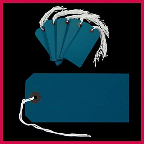 1000 Pack - 120 x 60mm Blue Coloured Strung Tags