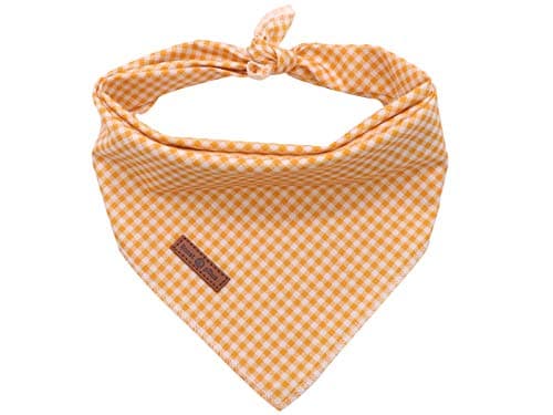 lionet pawsDog Bandana for Small Medium Large Dogs, Cat Dogs Kerchief Triangle Bibs Scarf for Girl or Boy