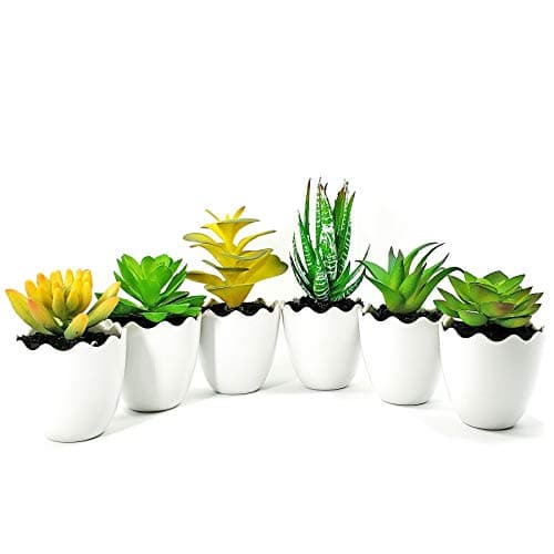 WsCrafts Set of 6 Mini Artificial Succulent Plants Potted - Shatterproof Imitation Ceramic White Fake Succulents Plants Potted for Home Office Shelves Decor