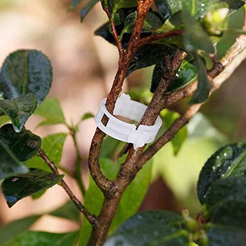 BHOOLU&GOOLU Plant Support Garden Clips for Green House and Gardening- (48pcs/Set)