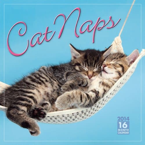 Cat Naps 2014 Wall (calendar) Calendar – Wall Calendar, July 25, 2013