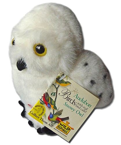 Snowy Owl by KM International