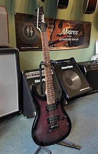 Ibanez Gio GS221 CWS Electric Guitar