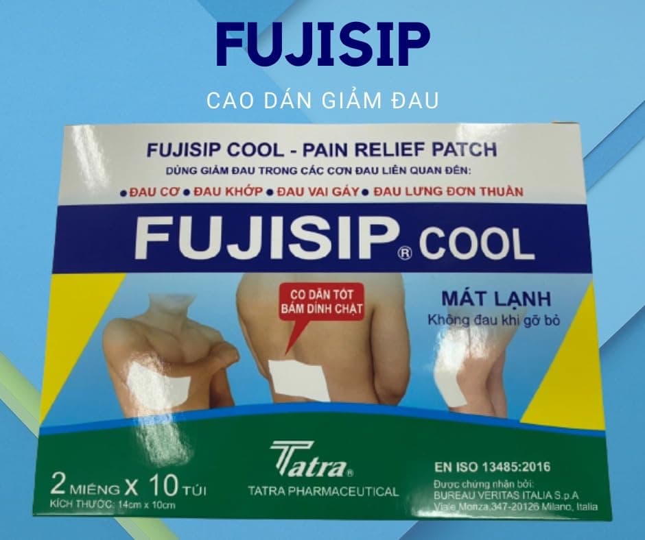 30 Packs x 5 Patches FUJISIP Herbal Patch Sheng Chun Cao dan Thao duoc Giam Dau Tatra