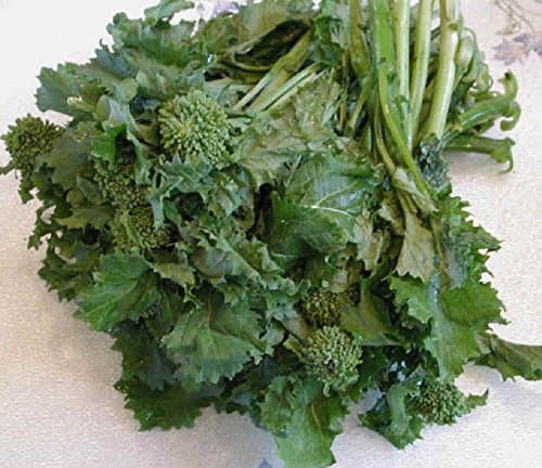 Heirloom BROCCOLI RAAB Spring Rapini Rabe ORGANIC❋2000 SEEDS❋Asparago❋OP❋Non GMO