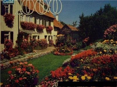 Guild 1000 Piece Jigsaw Puzzle - Home and Flower Garden, Owen, Germany