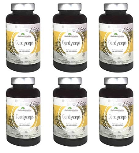 Aloha Medicinals - Pure Cordyceps - Certified Organic Mushrooms – Cordyceps Militaris – Cordyceps Sinensis - Supports Immunity, Energy and Stamina - 525mg - 90 Vegetarian Capsules (6 Pack)