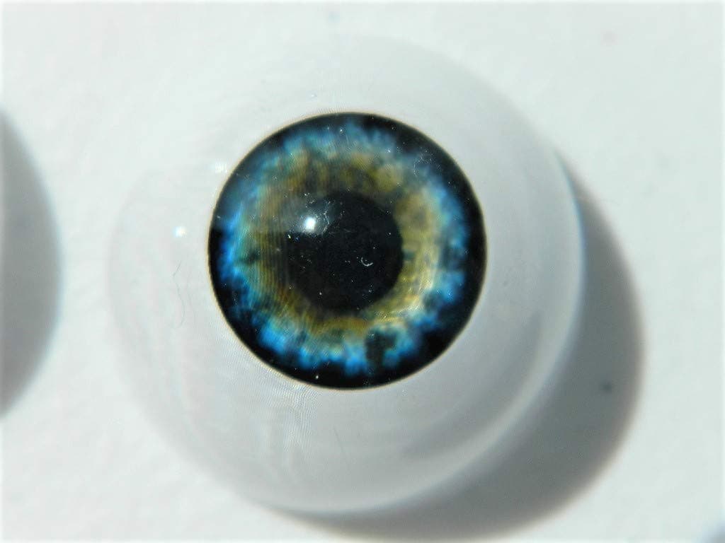 26mm Pair of Realistic Life Size Acrylic Half Round Hollow Back Eyes for Halloween Props, Masks, Dolls or Bears Blue Multi FL02