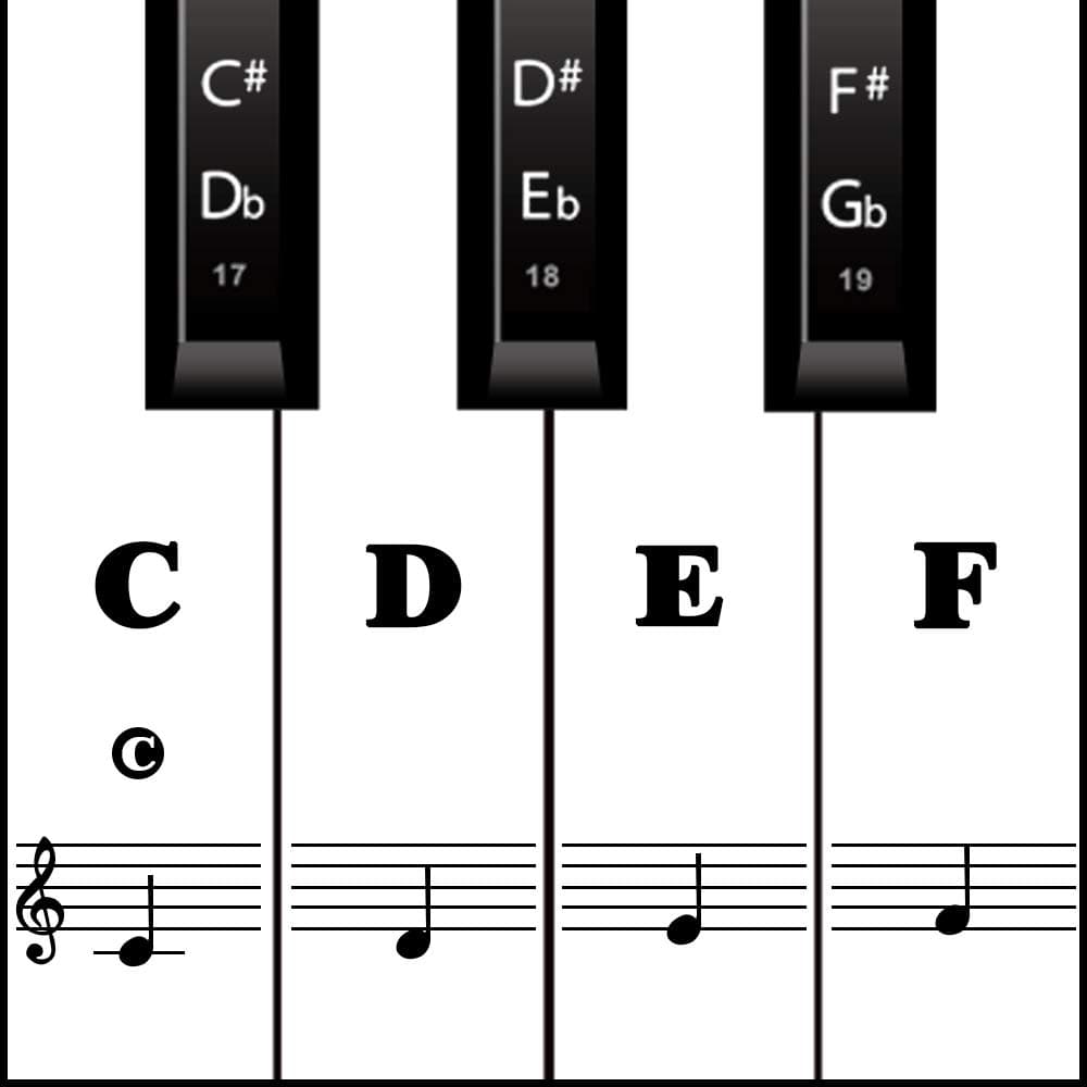 Piano Keyboard Stickers for Beginners, Reusable & Protective Piano Key Labels, Piano Note Stickers Overlay for Full Size Pianos (Black)