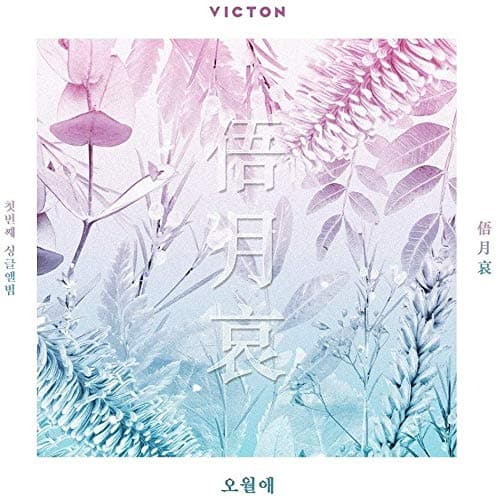 Plan A Entertainment VICTON - Time of Sorrow (1st Single Album) Album