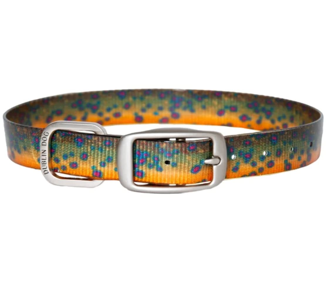 Dublin Dog Koa Collection Trout Series 17 by 21.5-Inch Dog Collar, Large, Brook Trout
