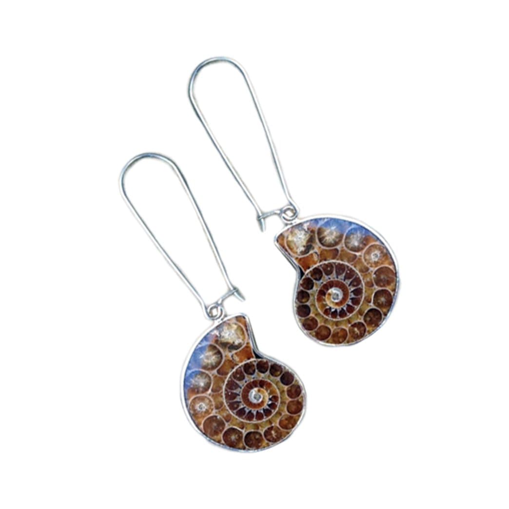 Real Ammonite Fossil Shell Earrings - Drop, Dangle, Beach, Shell Jewelry, Fossil, Natural, Natural Jewelry