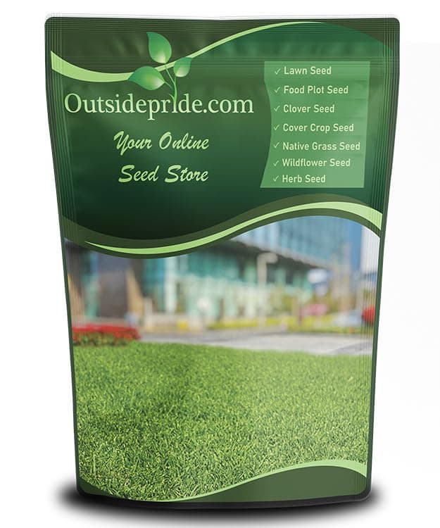 Rescape Seashore Paspalum Turf Grass Seed - 2 lbs. Warm Season, Salt & Drought Tolerant Dense Lawn Grass Seed, Perfect for Erosion Control, High Traffic Fields, Beaches, & Coastal Areas