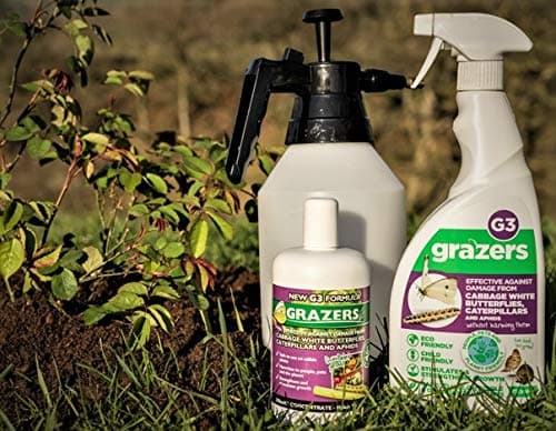 ltd GRAZERS G3 Effective Against Damage from Cabbage White Butterfly, Caterpillar, Aphid and Other Sap Suckers 350ml Concentrate (Makes 7 litres of Ready to Use Spray), Nylon/A