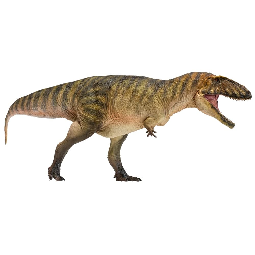 Prehistoric Dinosaur Models (50 Gamba The Carcharodontosaurus)
