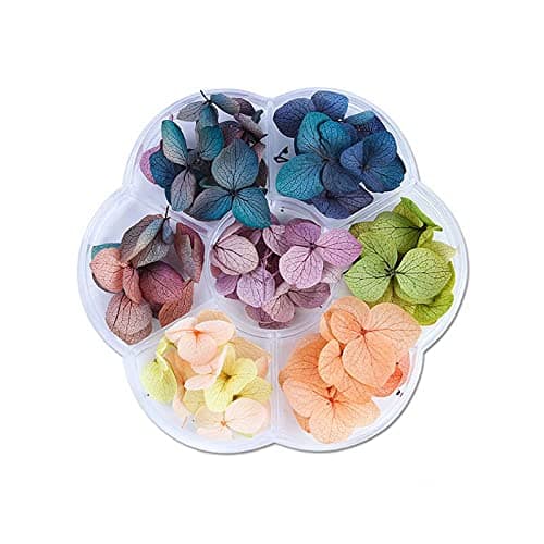 Sitonelectic Dried Flowers Decoration - Pressed Flowers for Crafts DIY Epoxy Resin Handmade Crafts Filling Materials