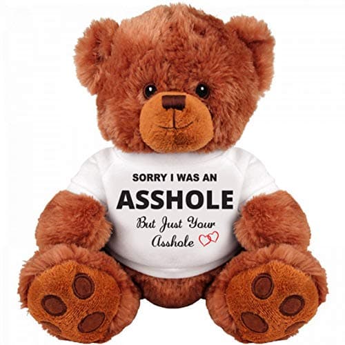 Sorry and Forgive Me Gift: Funny Teddy Bear Gift Couple: Medium Teddy Bear Stuffed Cute Animal