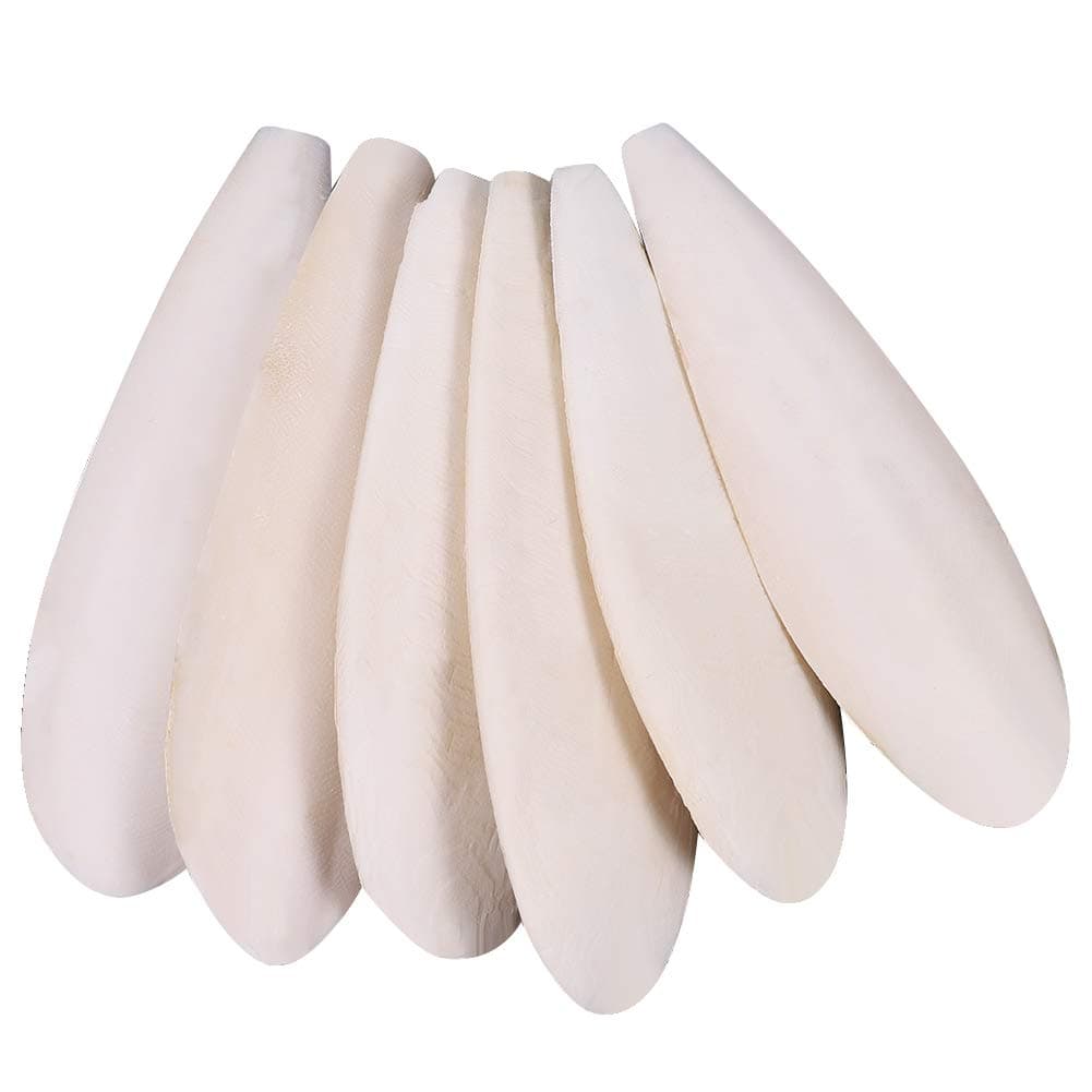 Parrots Chew Toys 6 Pieces Natural Cuttlefish Bone for Parrots Cage Birds Reptiles Tortoises Snails,10-12cm