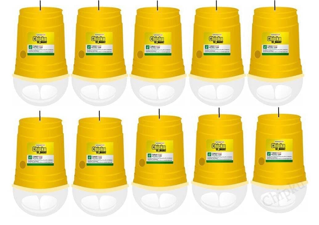 Glass Trap with Fruit Fly Lure Pack of 10 | Powerful Bactrocera Dorsalis Control for Mango, Guava, Papaya & Other Fruit Crops | Organic Pest Management for Garden & Farm Use