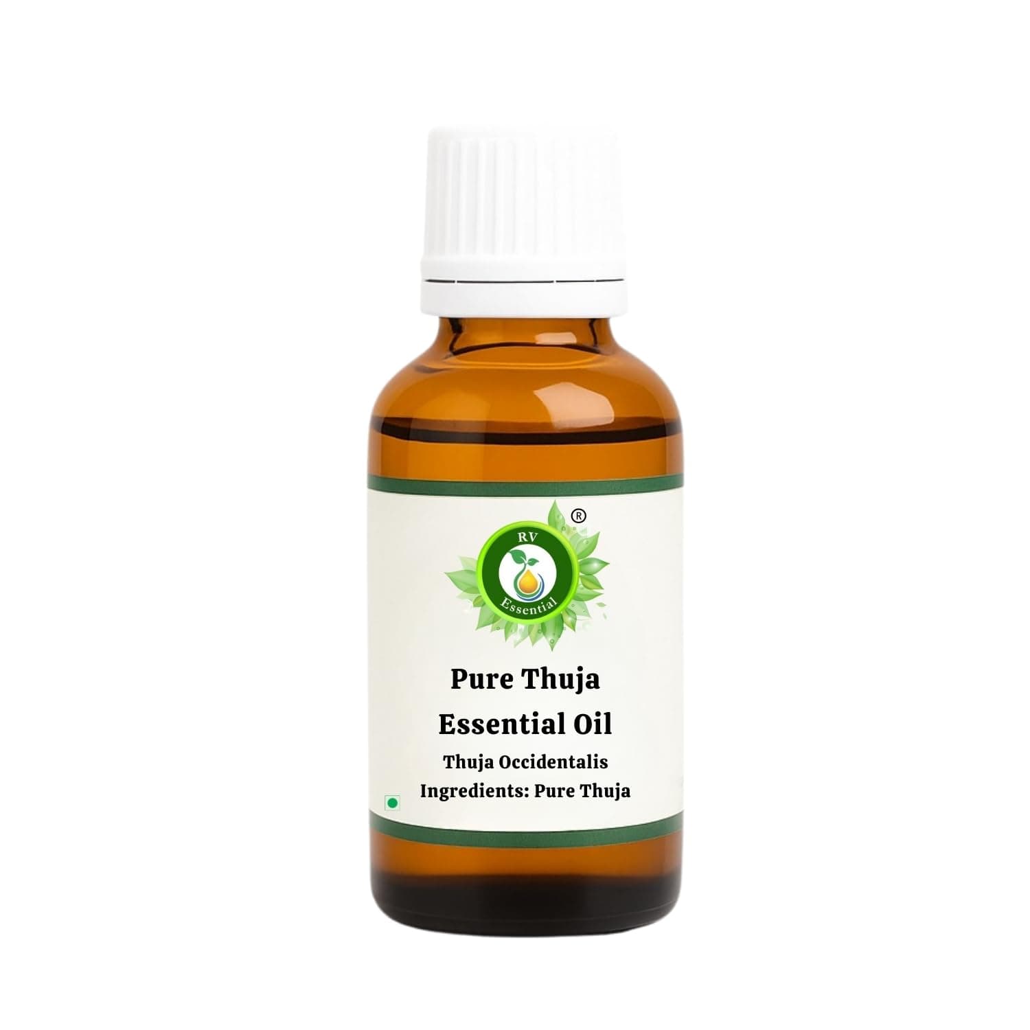 R V Essential Pure Thuja Essential Oil 10ml (0.338oz)- Thuja Occidentalis (100% Pure and Natural Steam Distilled)