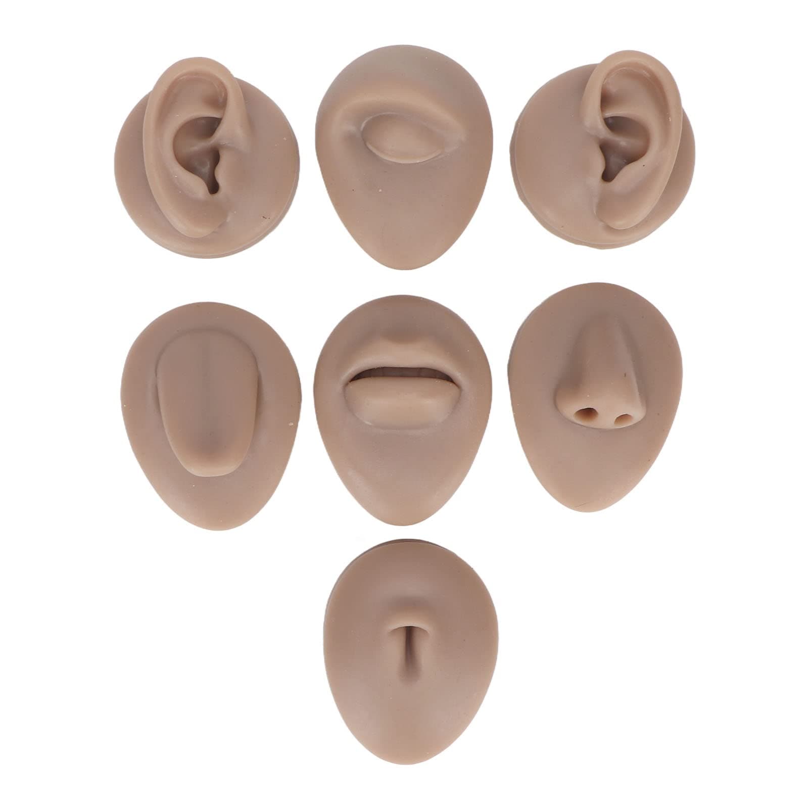 - Soft Silicone Flexible Model Body Part Displays Set, Silicone Tongue Mouth Navel Ear Model for Piercing Practice and Jewelry Display Acupuncture Teaching Tool, Education (Dark