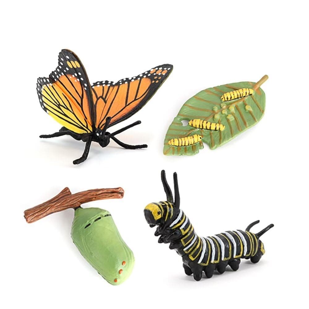 Hvogvok Butterfly Growth Cycle, Animal Growth Cycle Biological Model, Growth Stage Lifelike Butterfly Life Cycle Model Set for Kids Education Insect Themed Party Favors