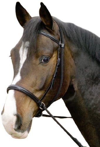 USG Bitless Bridle Connection with Noseband/Web Reins, Cob, Black Leather/Black Lined