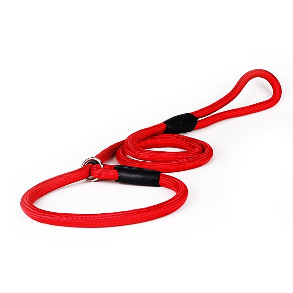 Gufi Training Dog Leash Slip Lead 0.5 Inch by 6 Feet Long - Red