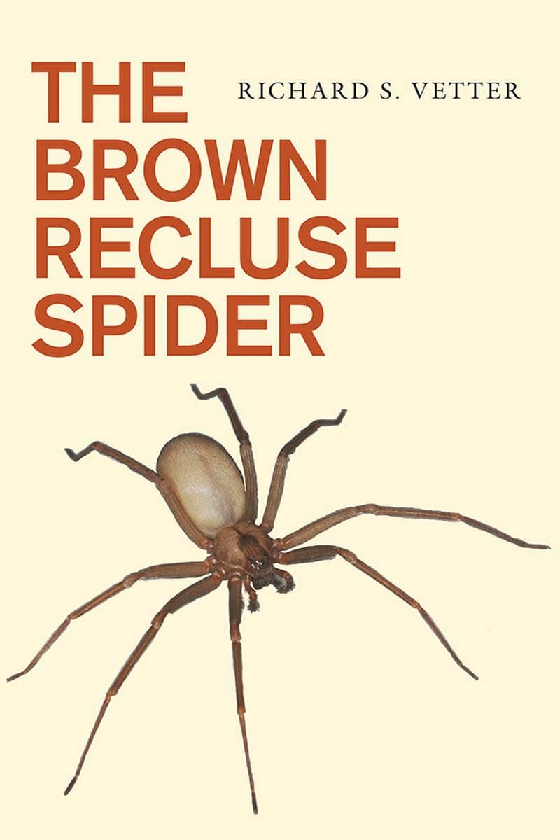 The Brown Recluse Spider Paperback – Illustrated, 7 May 2015