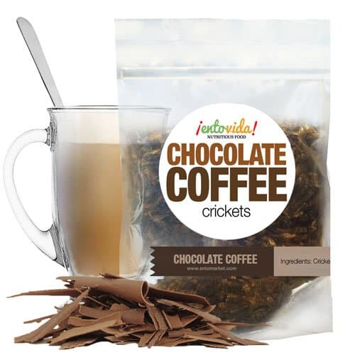 Edible Insects | Chocolate Coffee Crickets