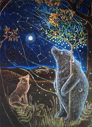 The Great Bear II by Hannah Willow - UK made Art Greetings Card - Bear and Wolf stargazing - Animals - Birthday Card