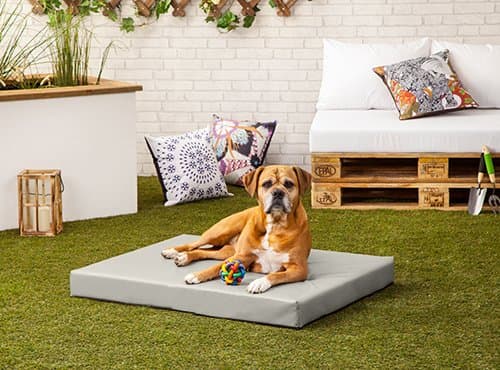 Pet Klub Grey 'Rocky' PVC Water and Chew Resistant Small Dog Bed - 80cm x 60cm